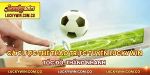 Đặt cược thể thao trực tuyến