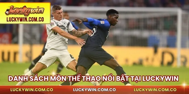 Đặt cược Thể Thao Trực Tuyến - Tốc Độ, Thắng Nhanh 3 Danh sách môn thể thao nổi bật ở trên luckywin
