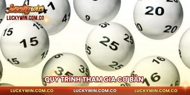 Quy trình tham gia cơ bản