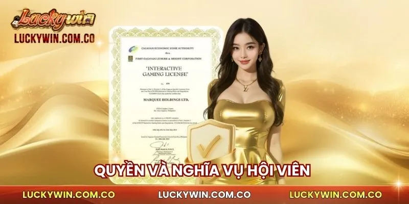 Quyền và nghĩa vụ hội viên 