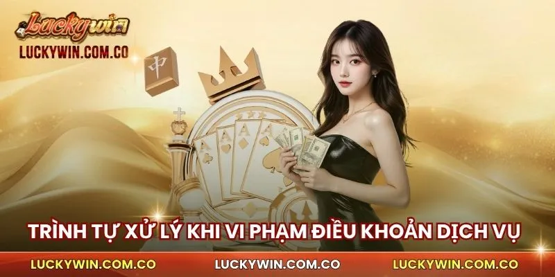 Trình tự xử lý khi vi phạm điều khoản dịch vụ